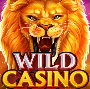 wild casino
